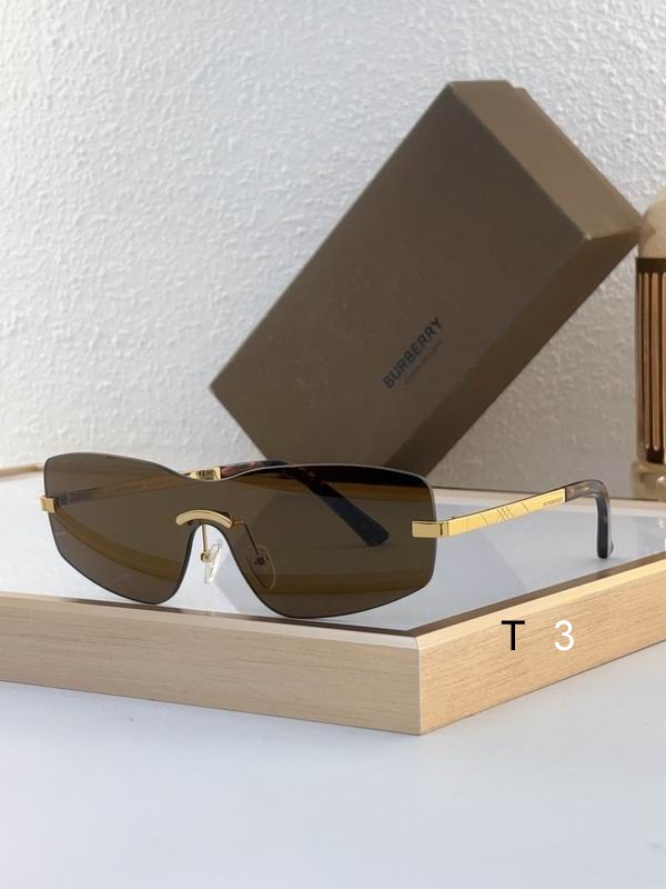 Burberry Sunglasses ID:20250529-54
